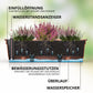 Blumenkasten Milano 3er Set - Terrakotta - mit Hydroeinsatz und Wasserstandsanzeiger